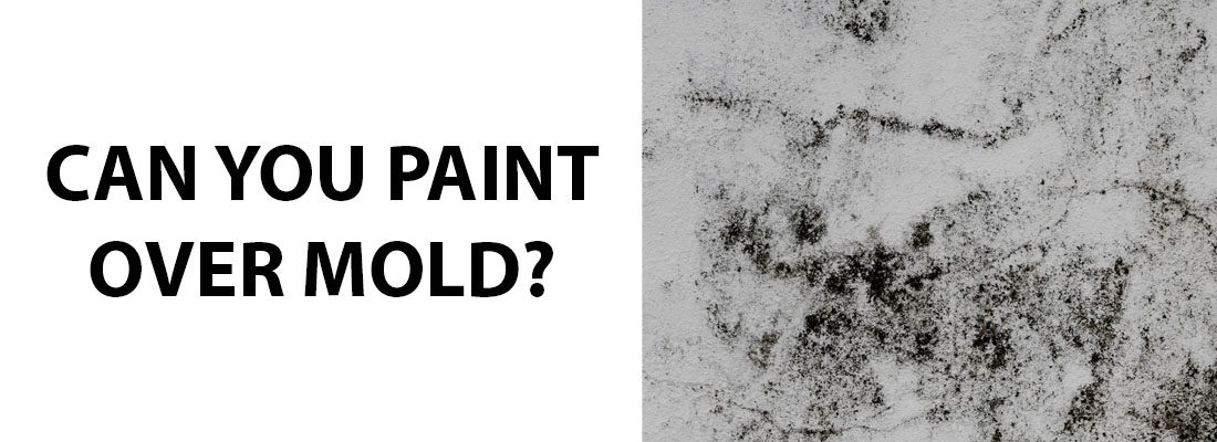 Can You Paint Over Mold?